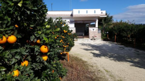 Casa Vacanze Pino - Sciacca - Casa di campagna